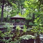 Toledo Botanical Gardens