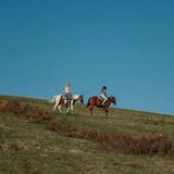 Horseback Riding