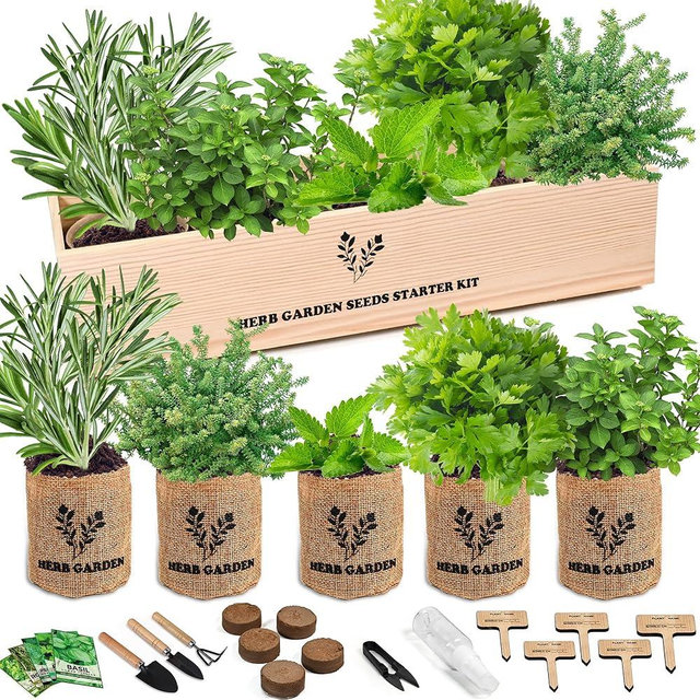 Sproutix Indoor Herb Garden Starter Kit, 5 Seeds Growing into Basil, Parsley, Rosemary, Thyme, Mint, Including A Wooden Box, Soil Discs & Planters with A Gift Box, Ideal Christmas Gifts for Women