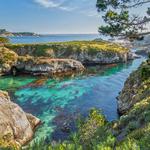 Point Lobos State Natural Reserve