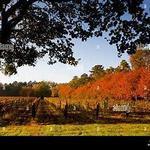 Williamsburg Winery, Ltd.