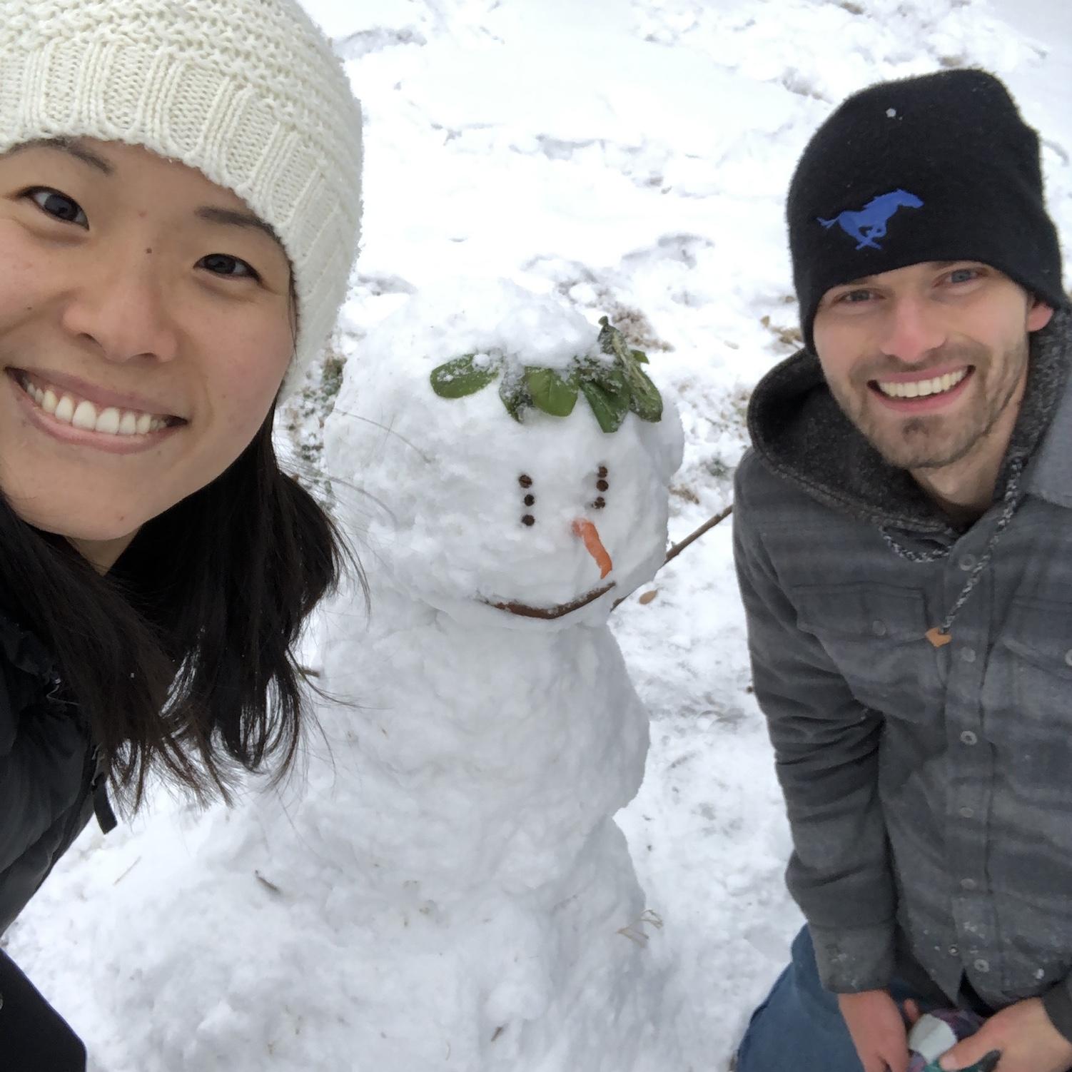 The 2021 Dallas snowpocolypse!