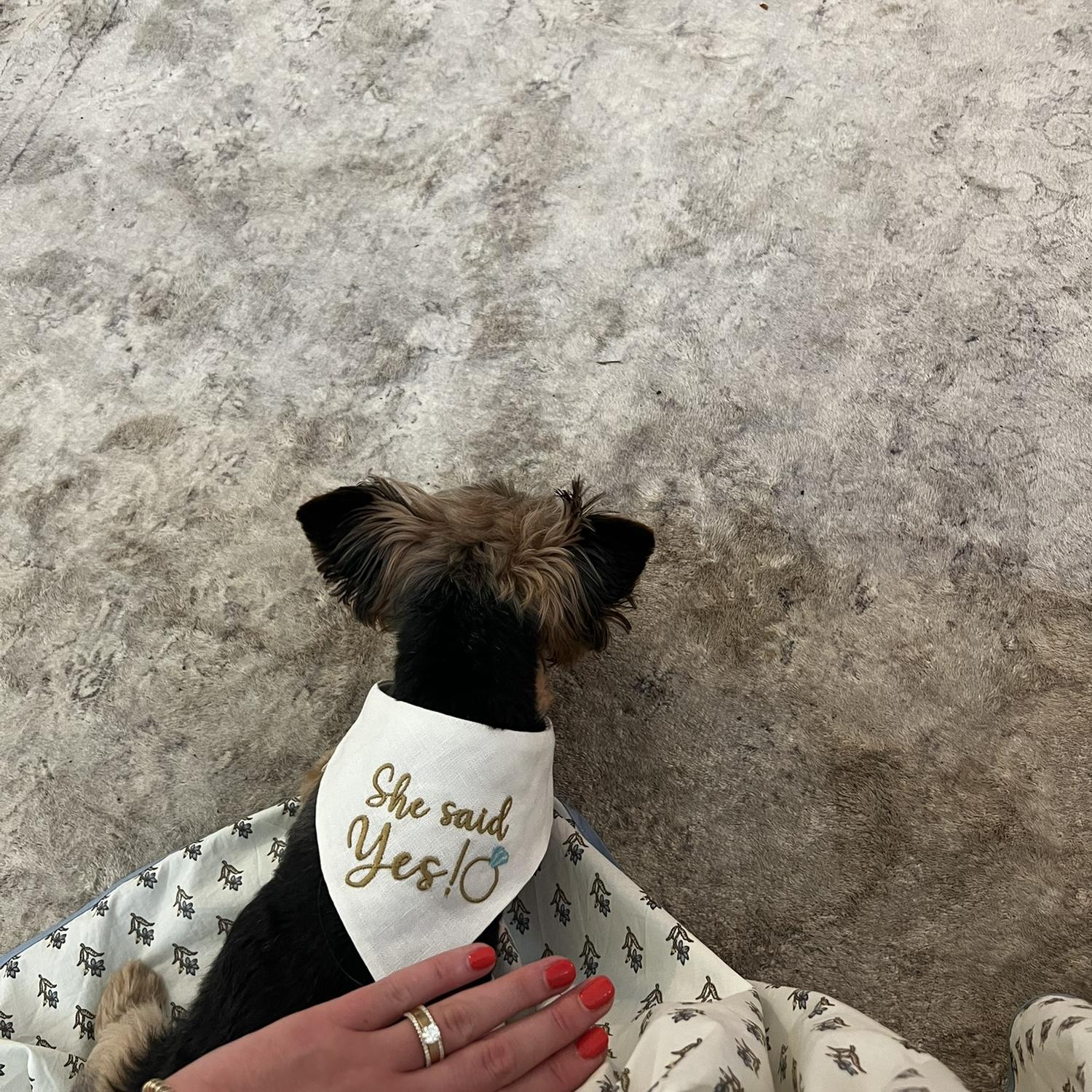 I didn’t sit down much this day but every time I stopped for a second Miss girl (aka Betsy) sat on my dress I think she knew something big was happening!