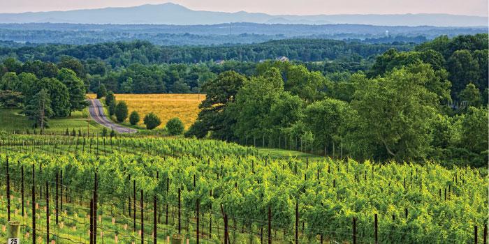 The Wedding Website of Kiera Mann and Jared Engelbrecht