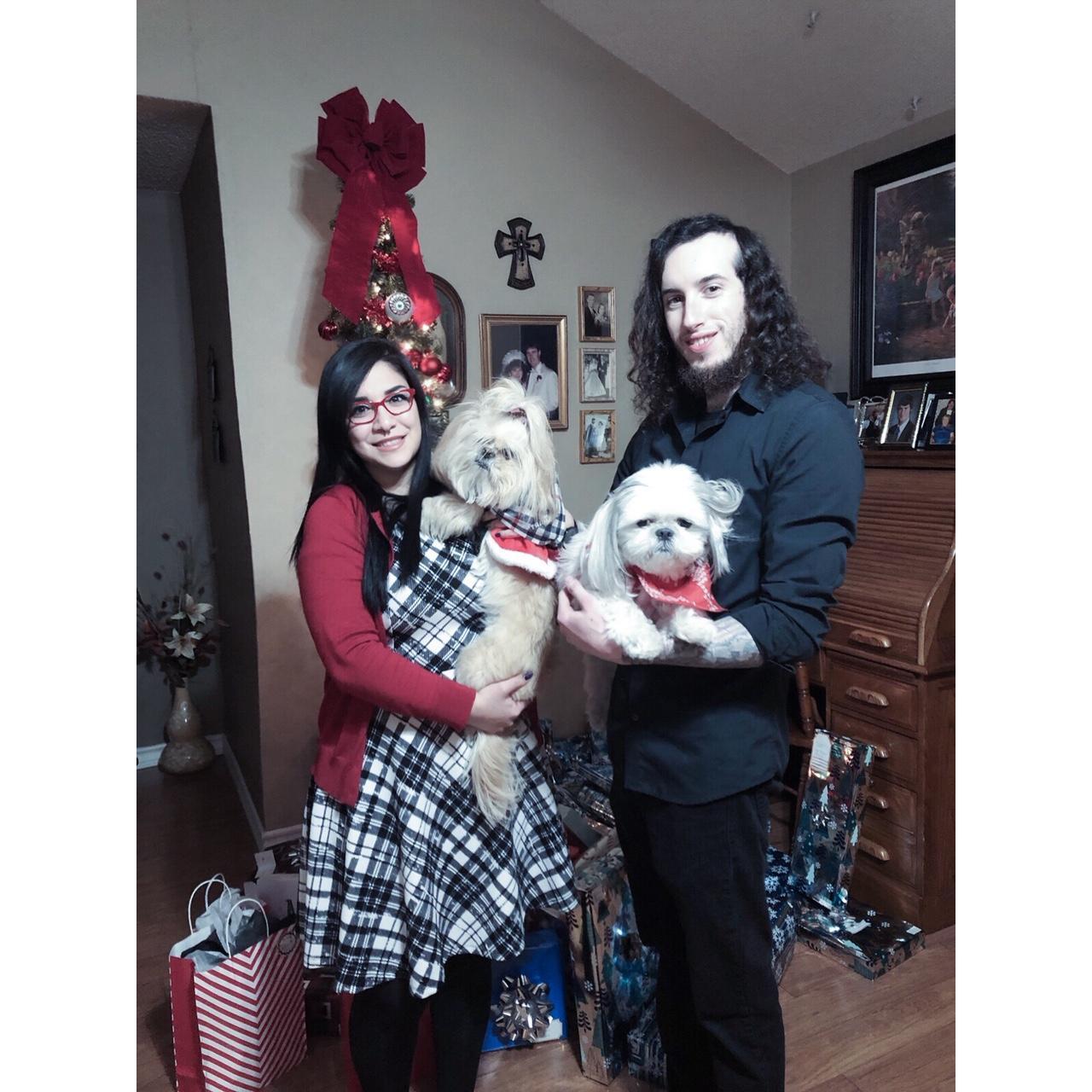 Culak Family Christmas 2018