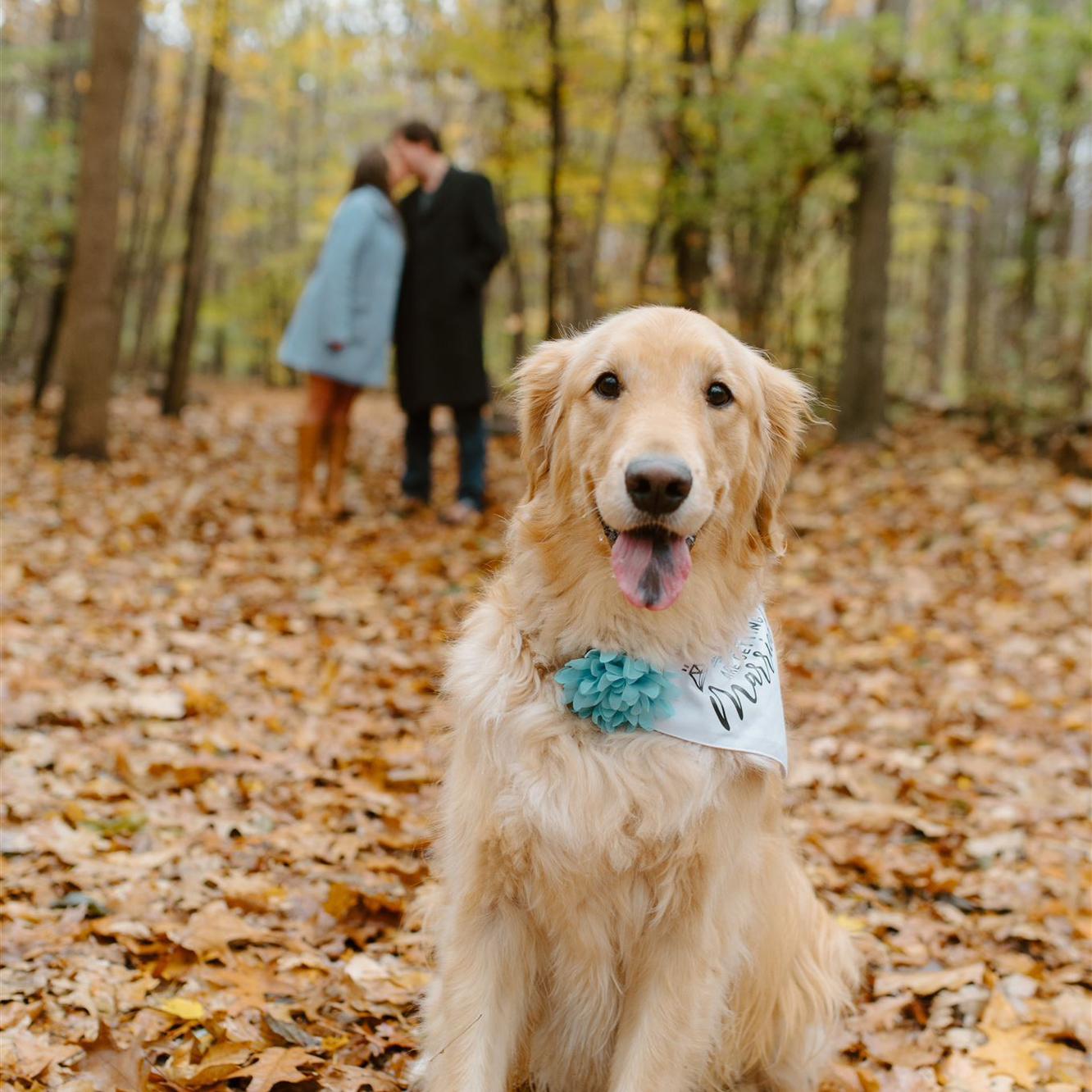Engagement Photos at the place we had our first date, Rotary Park in Livonia, MI