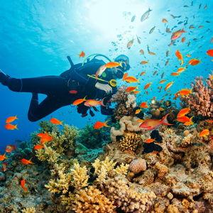 Honeymoon - Scuba Diving in Thailand