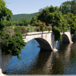 Bridge of Flowers