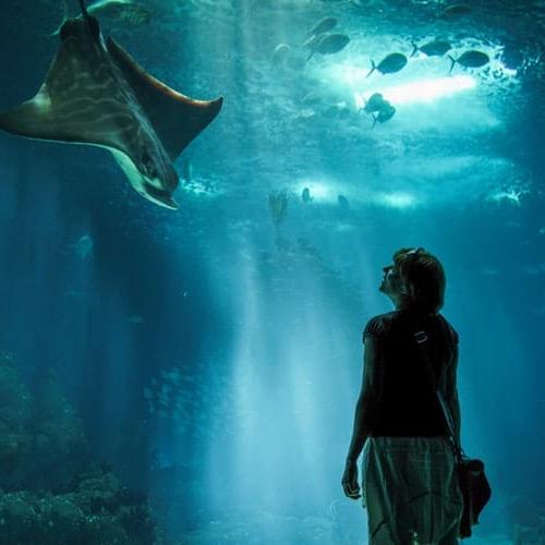 Aquarium de Paris Tickets