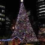 Chicago Christmas Tree