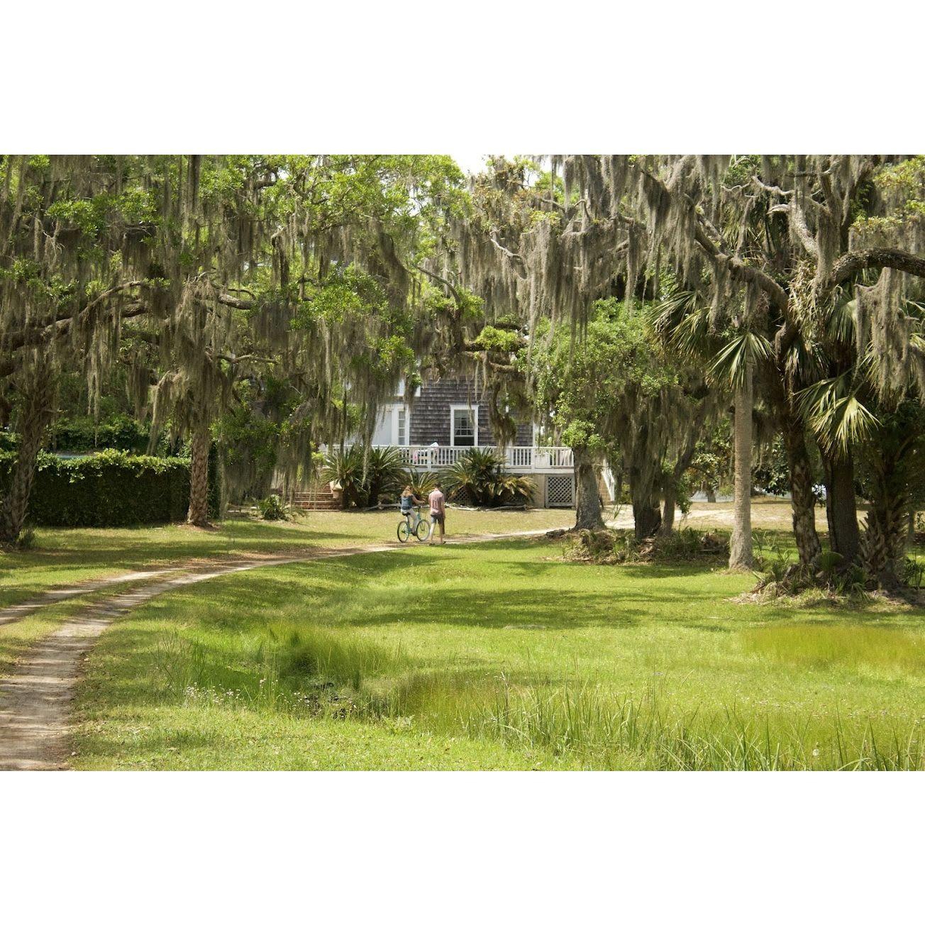 Biking off into the metaphorical sunset.