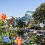 Brooklyn Botanic Garden