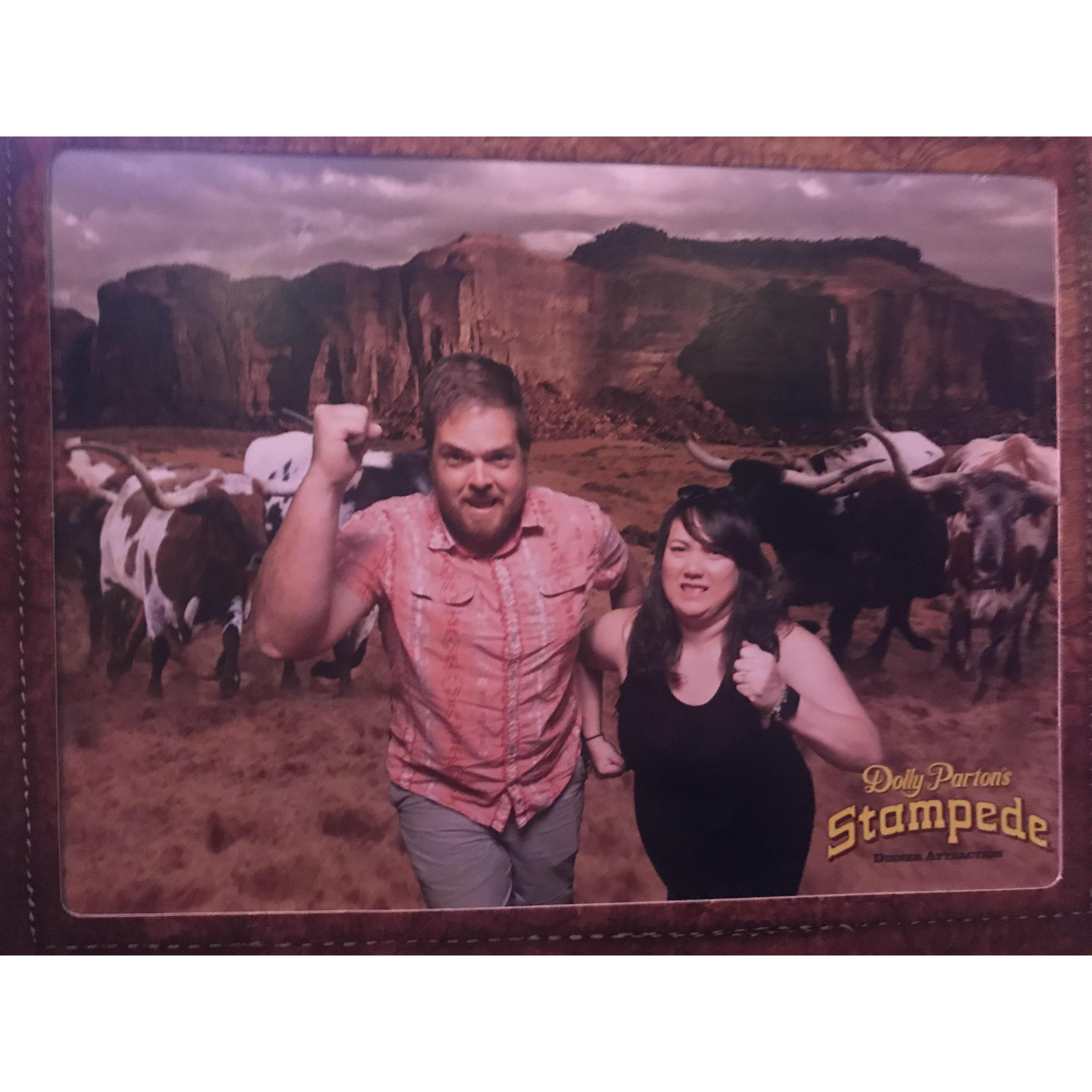 Dolly Parton Stampede - 2019