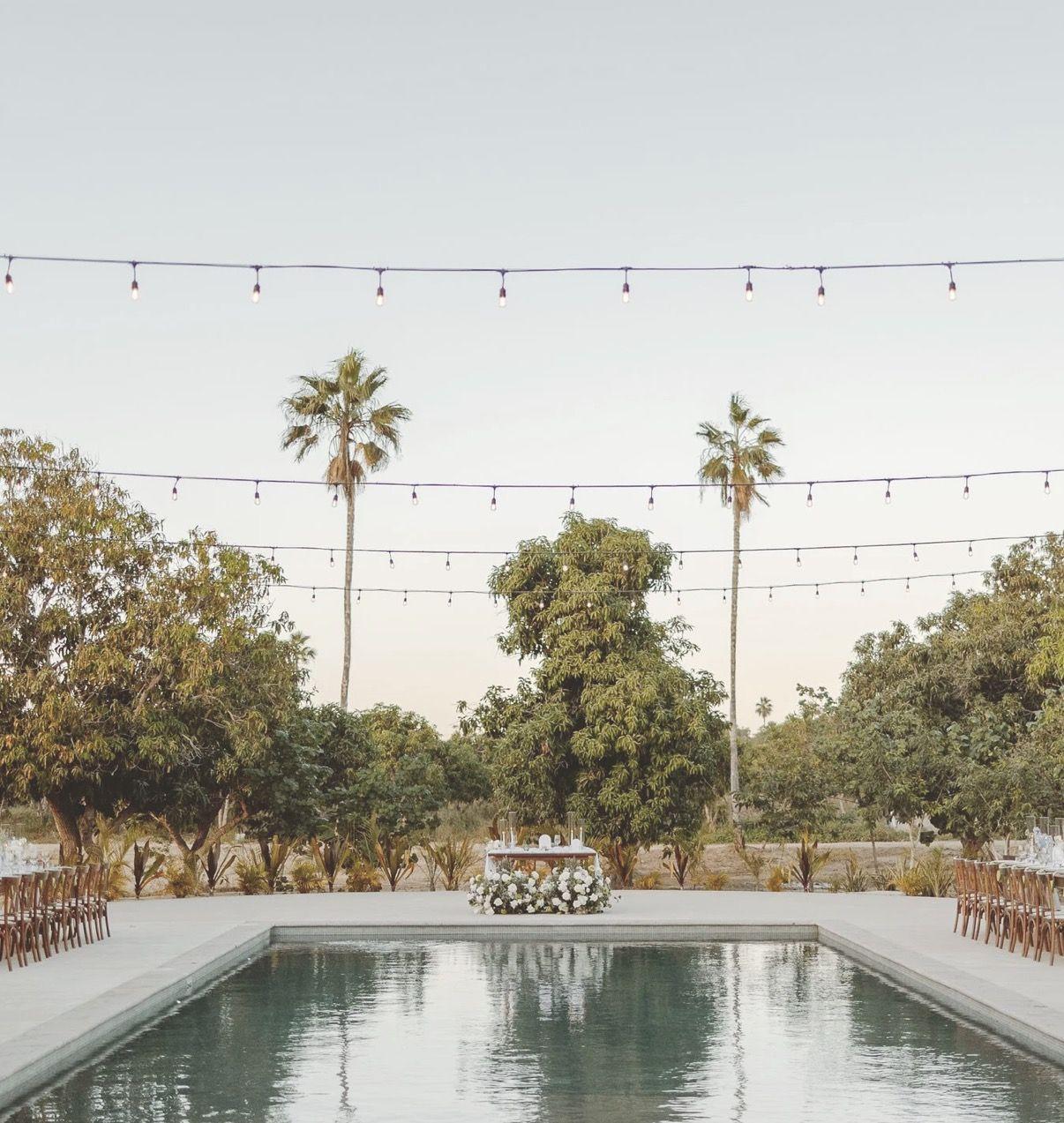 The Wedding Website of Dante Moyer and Sydney Eckert