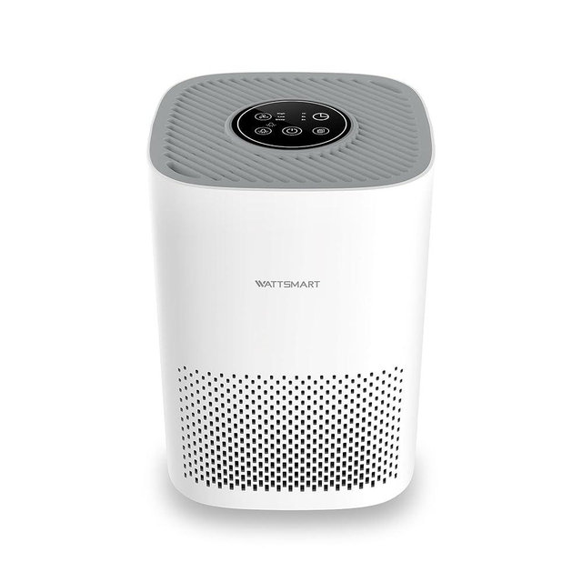 Air Purifier for Home - H13 True HEPA Filter for Pets Hair, Remove 99.97% Smoke Pollen Dander Dust, Portable Air Cleaner with 22dB Quiet Sleep Mode for Bedroom Office, White