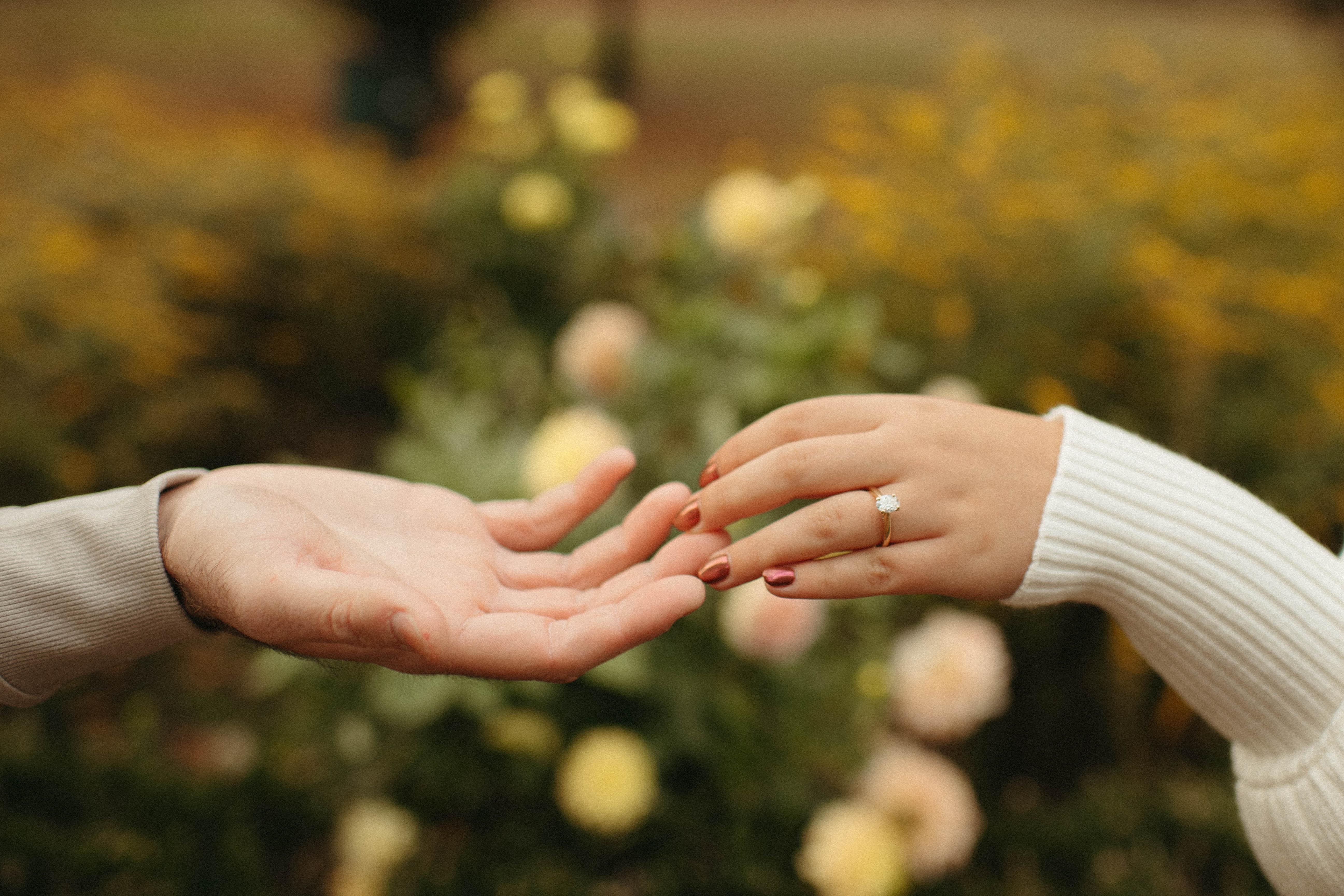 The Wedding Website of Danielle Nicole Whittaker and Zachary William Osha