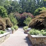 Leita Thompson Memorial Park
