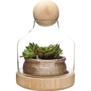 Bungalow Rose - Linette Recycled Glass Terrarium