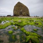 Haystack Rock Tide Pools