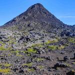 Mount Pico Hike