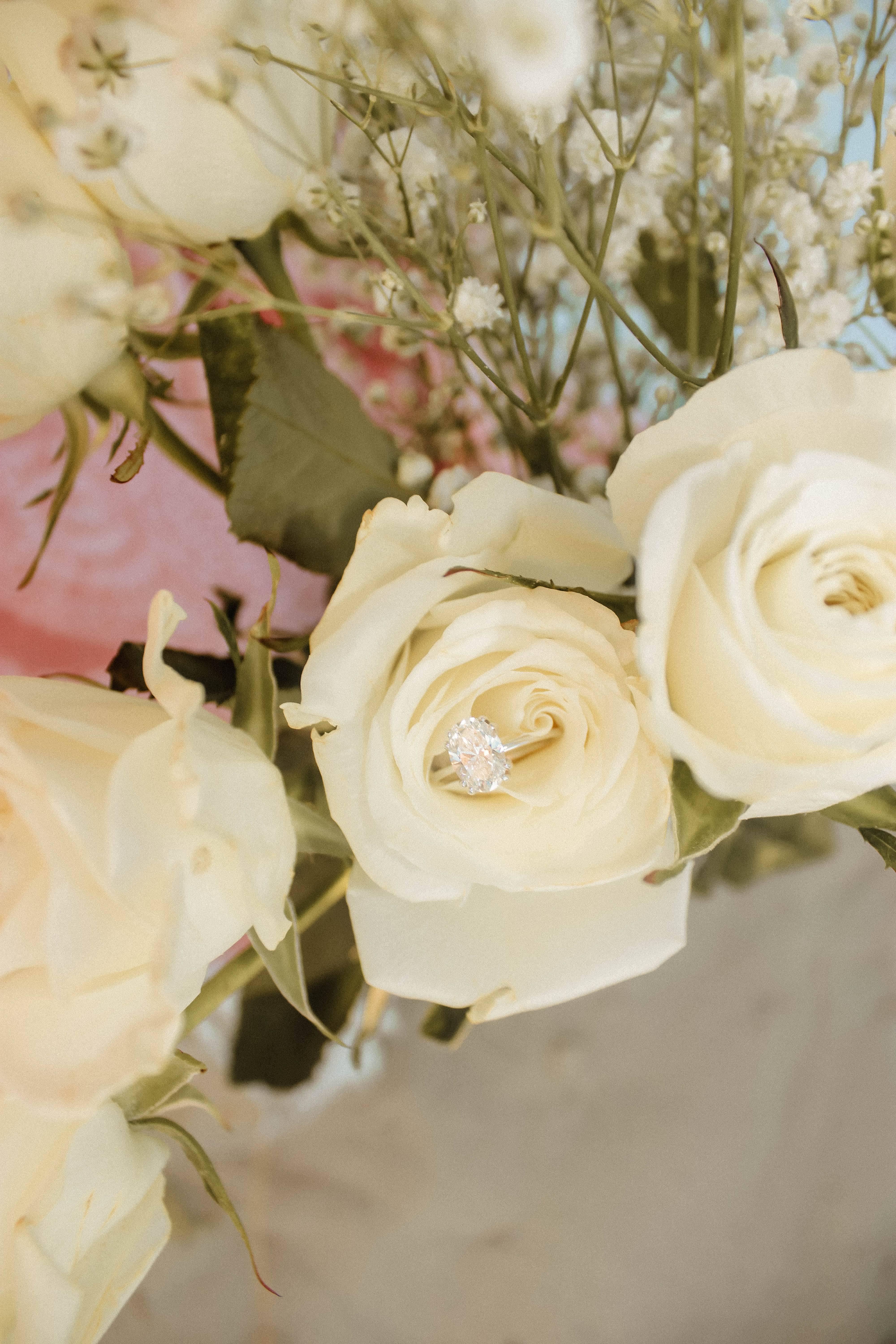 The Wedding Website of Rachel Dwyer and Brendan Corr