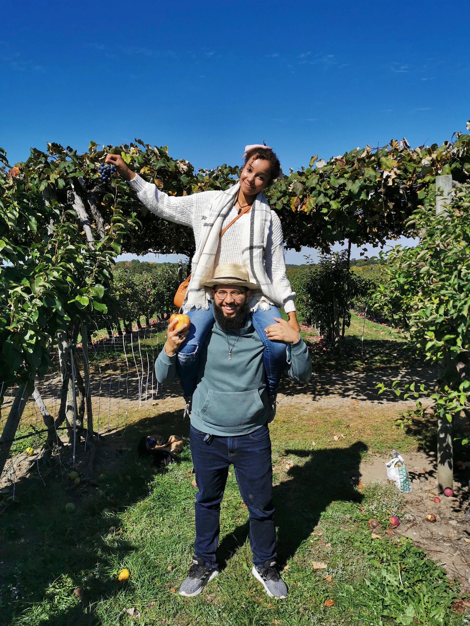 Apple / Grape picking 2020