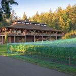 Church & State Wines - Victoria