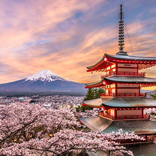 Honeymoon Fund (Tokyo) - Any Amount