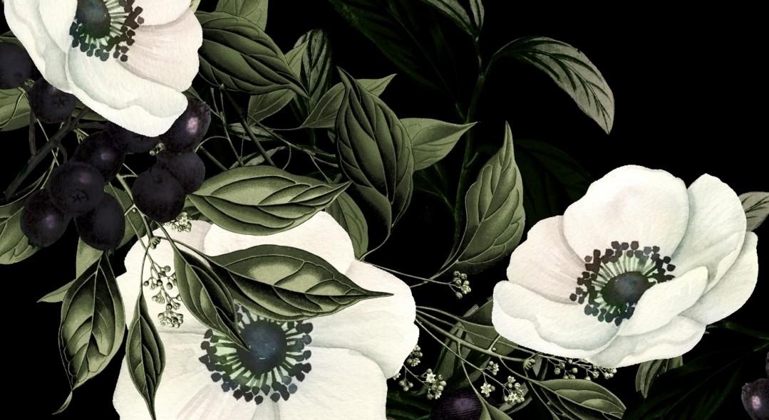 The Wedding Website of Carlos Ramos and Jennifer  Sweeting