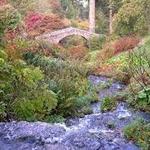 Dawyck Botanic Garden