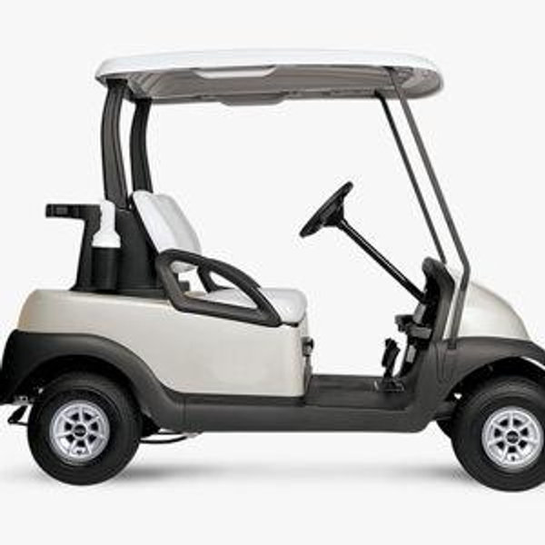 Our golf cart fund!