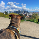 Kerry Park