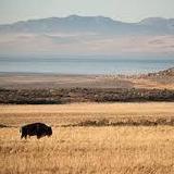 Antelope Island