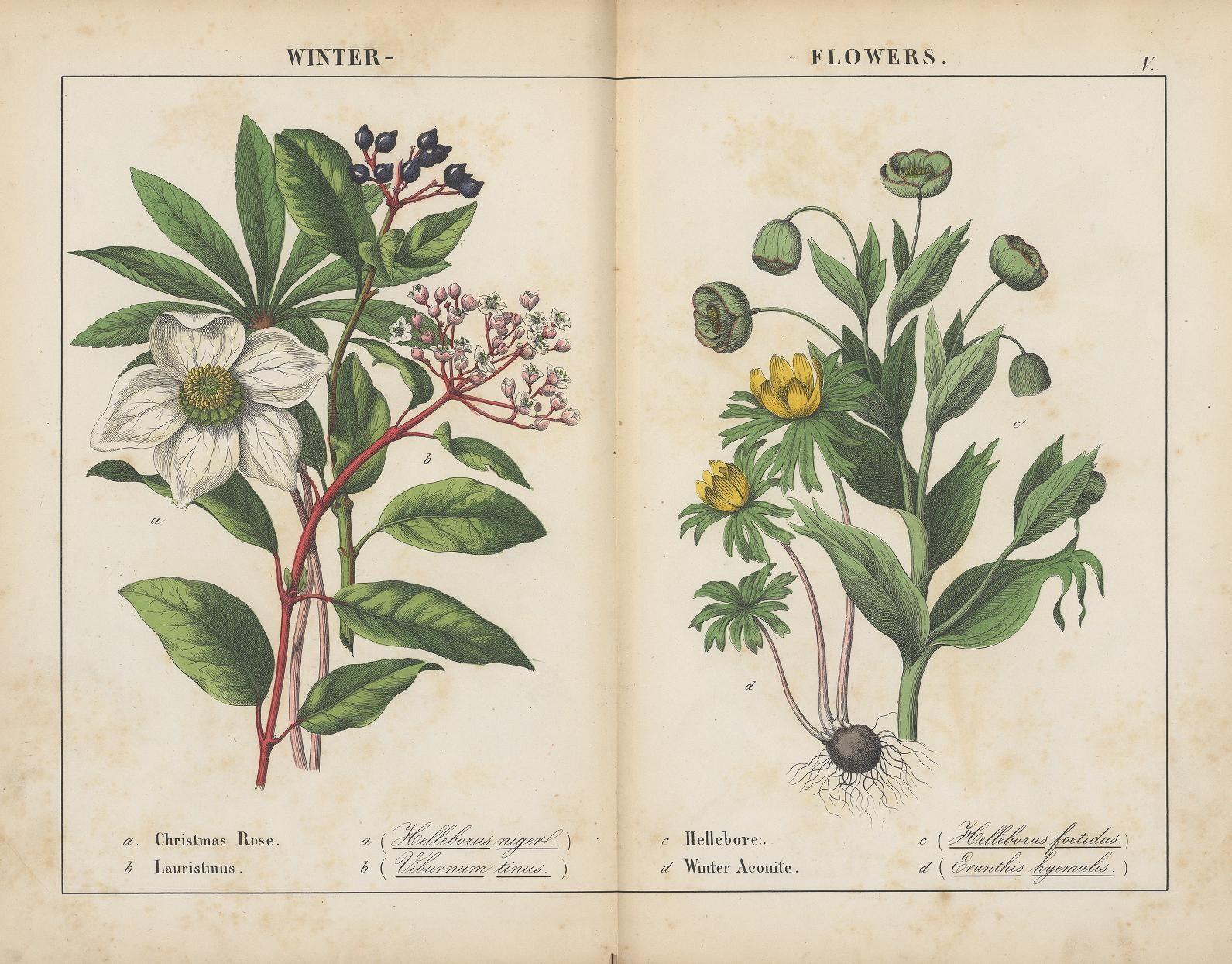 The Wedding Website of Lily Kingsolver and Phillip Hall