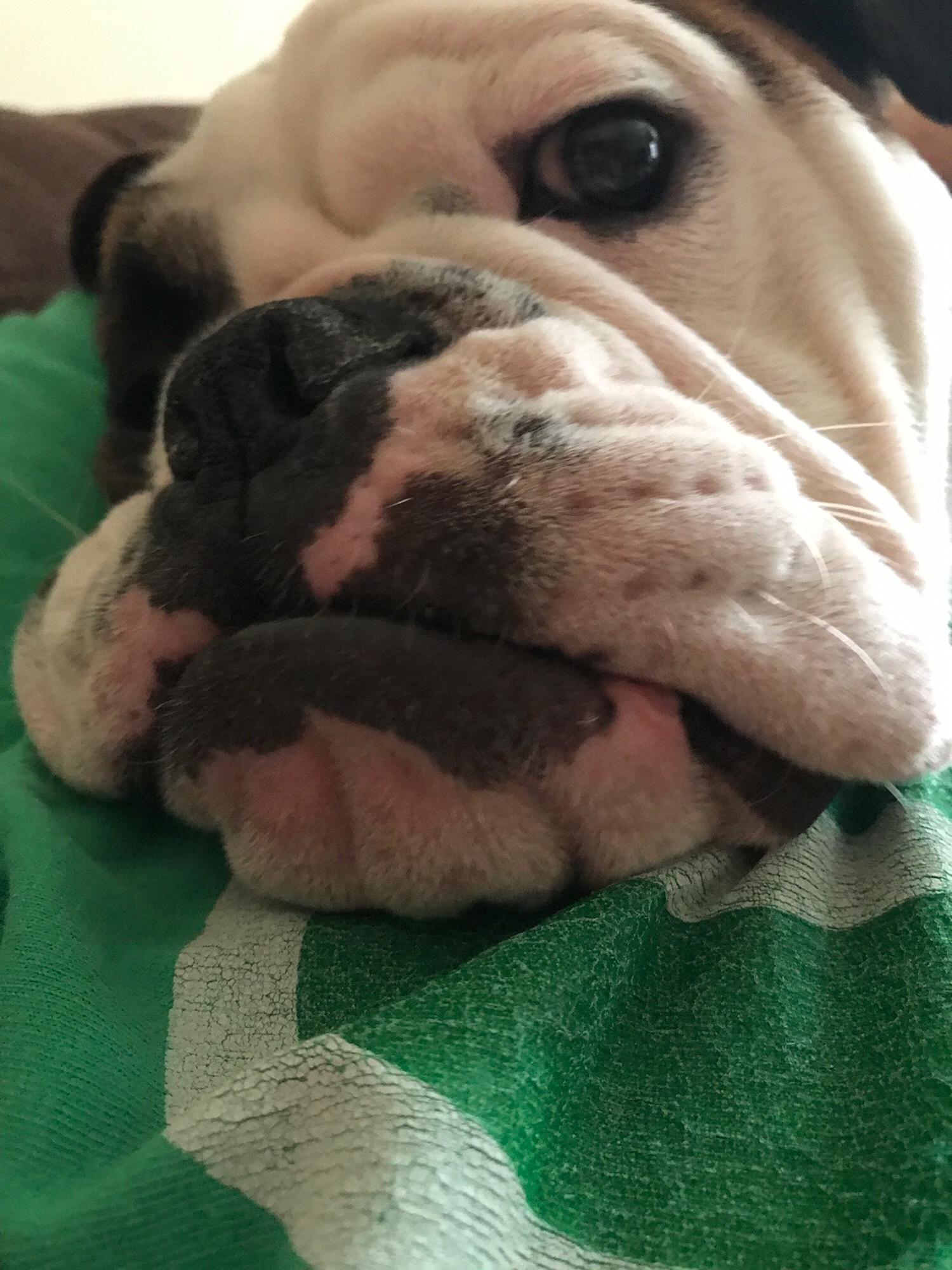 Life is RUFF!