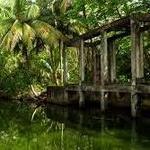 Humacao Nature Preserve