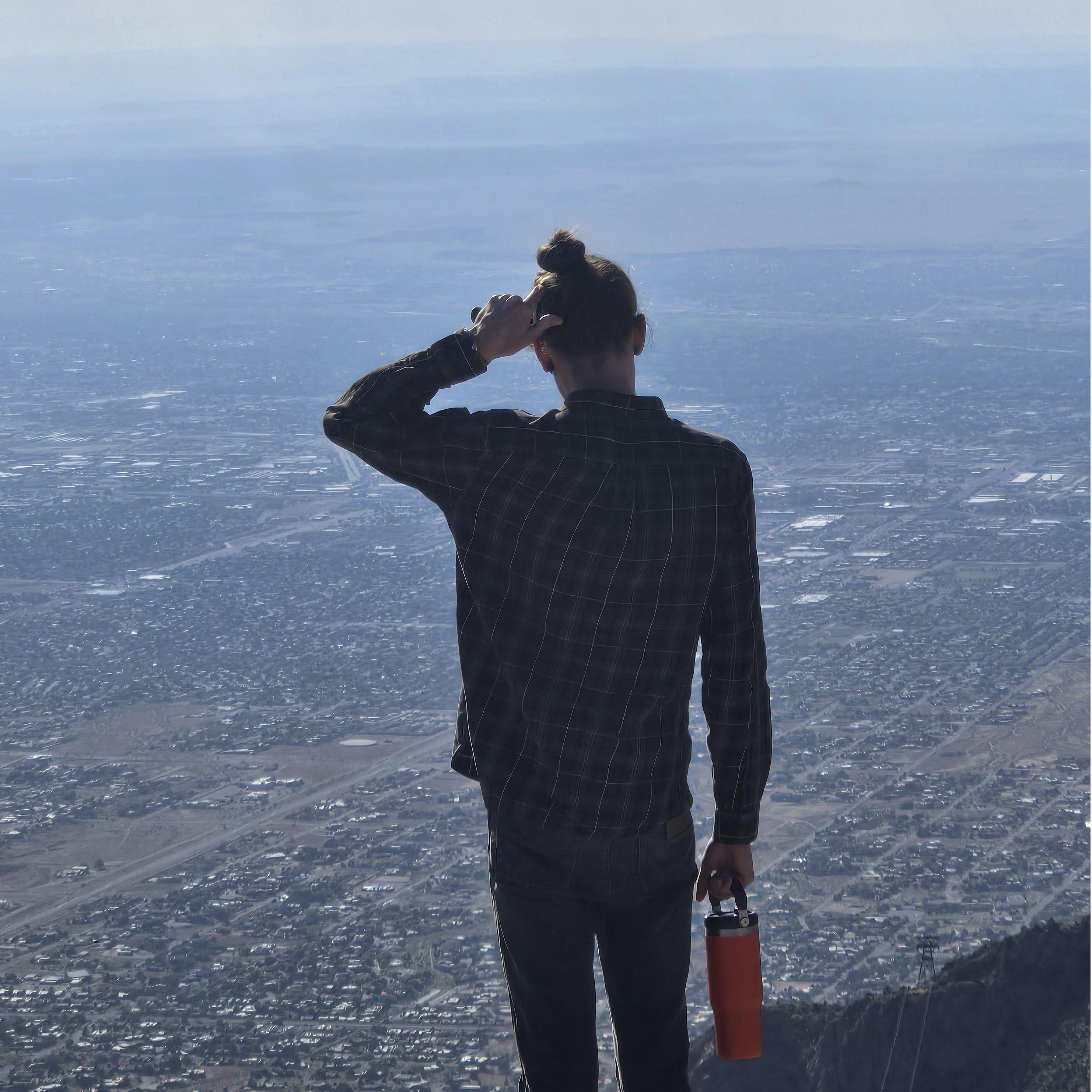 David surveying his domain