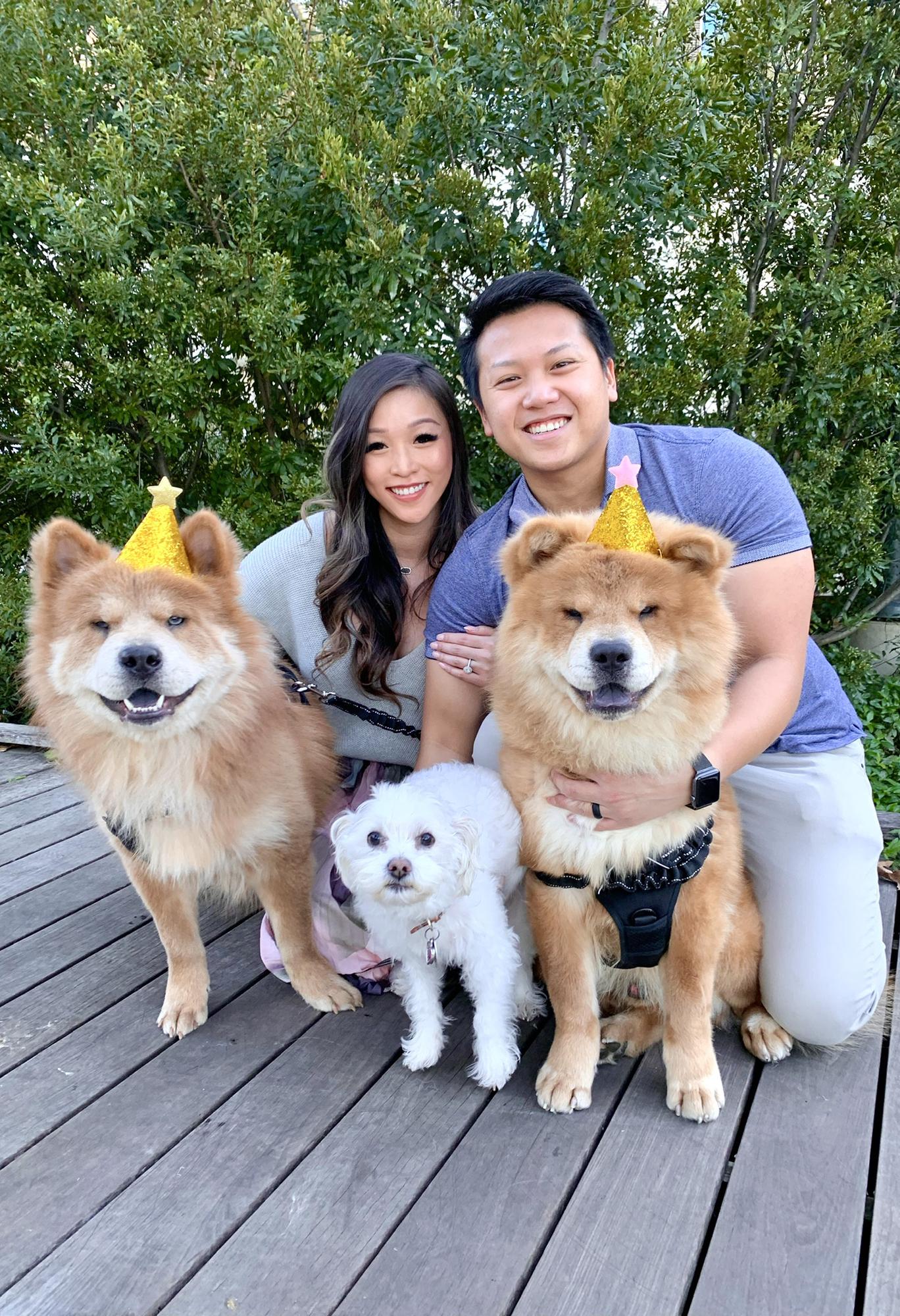 The twin chow’s 1st birthday! 2020