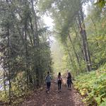 Pend d'Oreille Bay Trail (Hike, Bike, Walk)