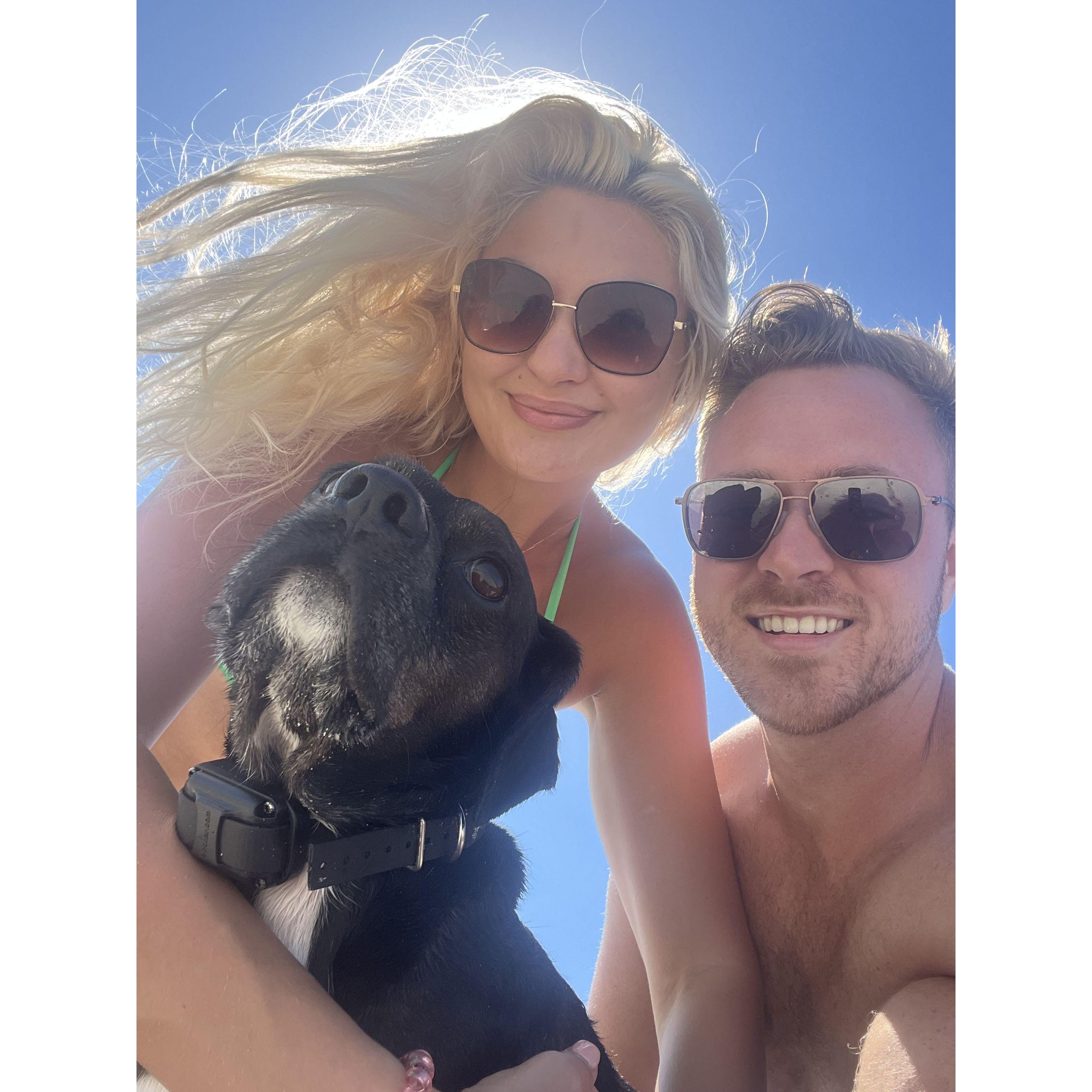 At the dog beach in Fort Desoto with Rocky!