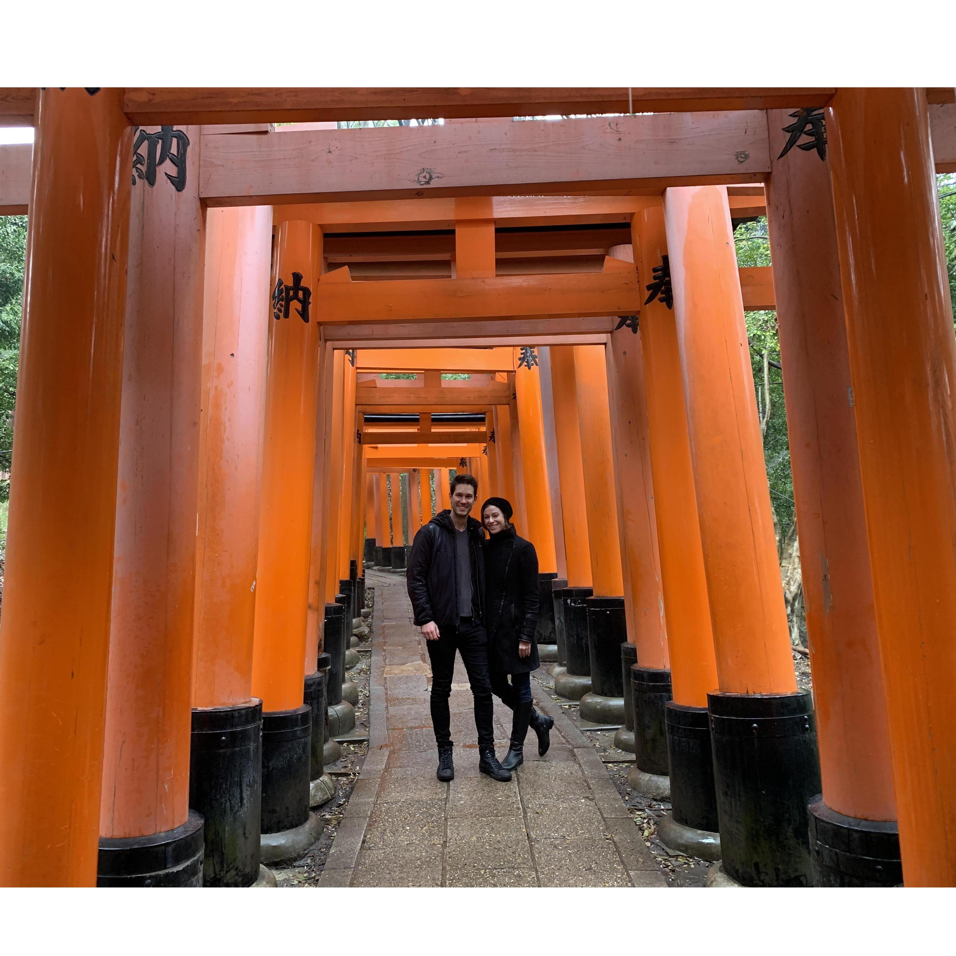 Torii Gates, Kyoto, Japan, 2019