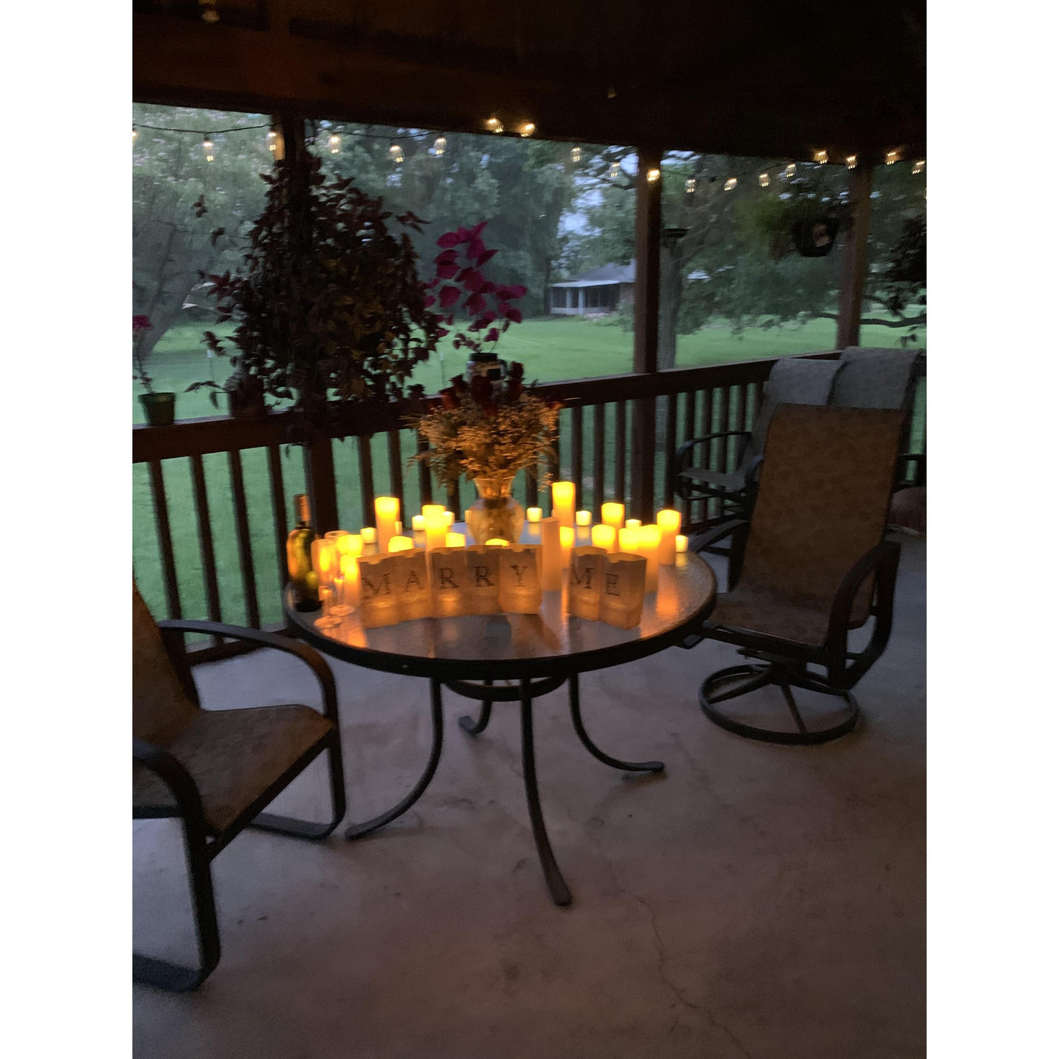 David's Proposal