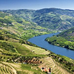 Douro Valley Boat Tour on Our Honeymoon