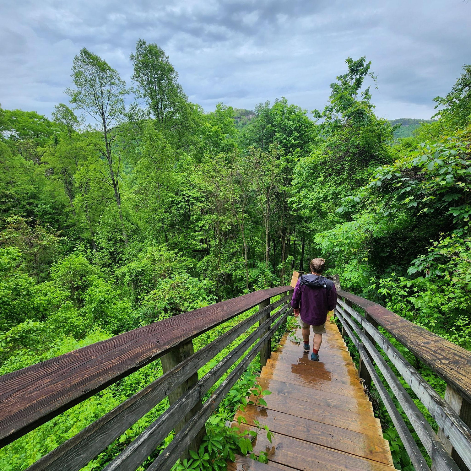 We went hiking on our first trip to New River Gorge- it was like over 821 steps down and up! (Keymoore Miners Trail)
