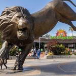 San Diego Zoo