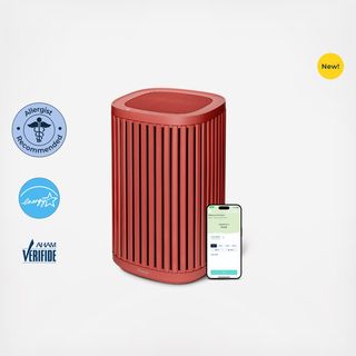 Air Purifier 3-in-1