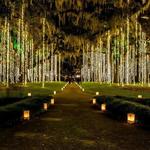 Brookgreen Gardens