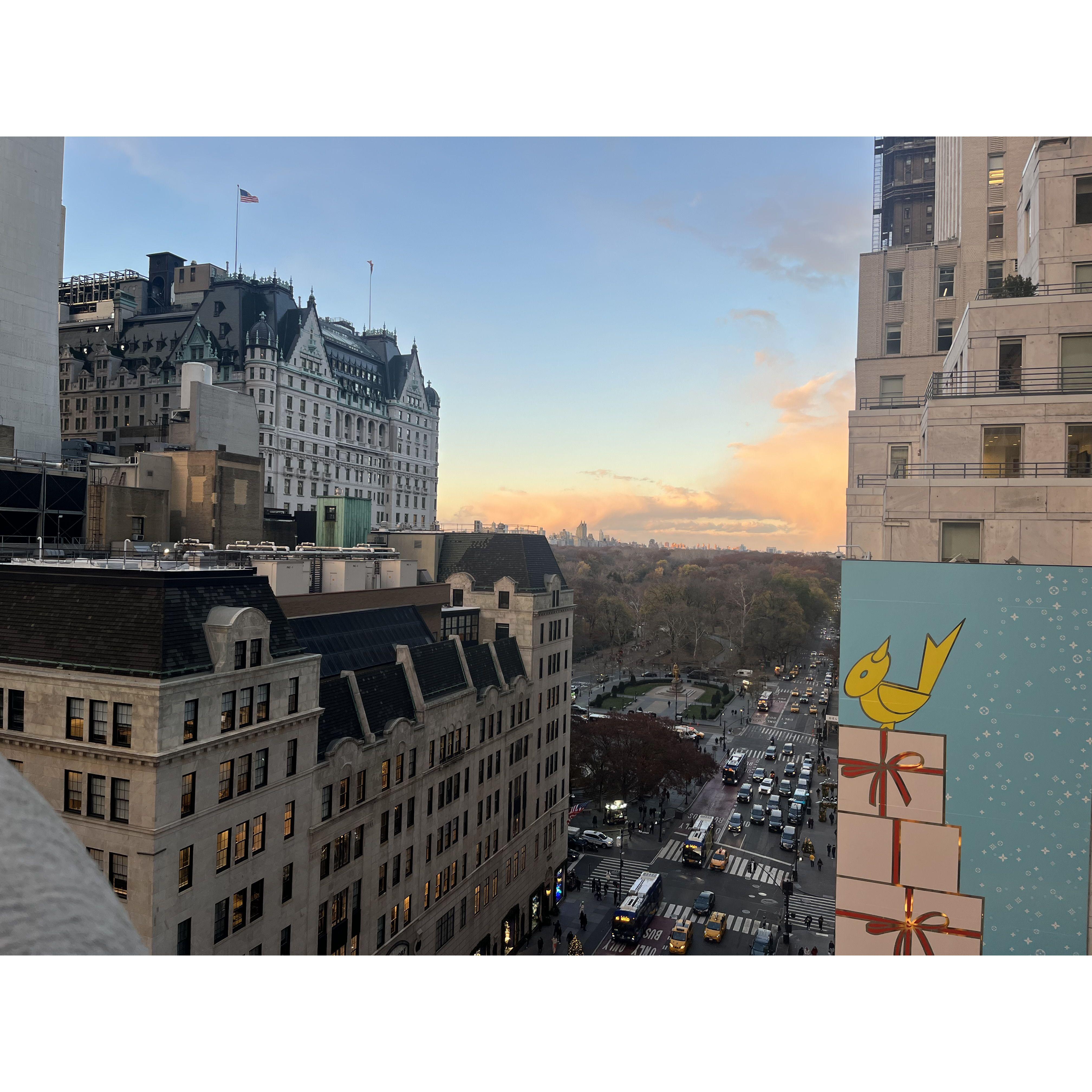 Tiffany & Co. The Landmark, Central Park in view