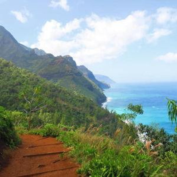 Hawaiian Honeymoon