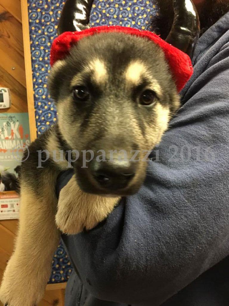 First Halloween